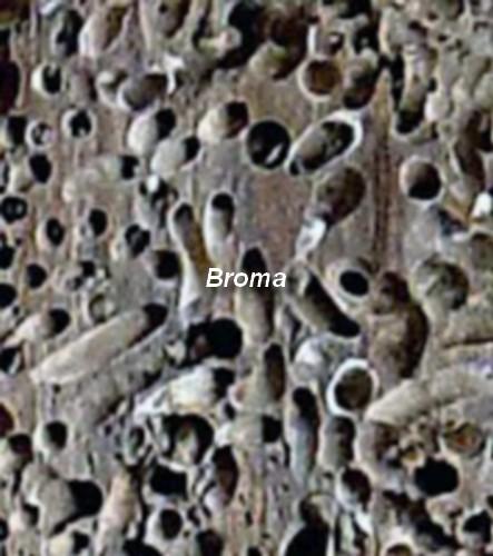 Novedades en la Armada española a lo largo del siglo XVIII y principios del XIX