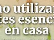 Cómo Utilizar Aceites Esenciales Casa