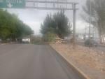 Fuertes vientos derriban decenas de árboles en la zona metropolitana de SLP