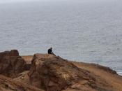 llena tiempo perderlo