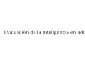INTELIGENCIA. Precisiones.
