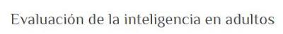 INTELIGENCIA. Precisiones.