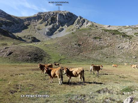 La Farrapona-Los Albos-Lago del Valle-Calabazosa