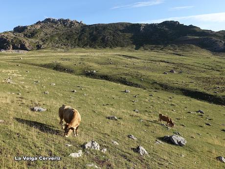 La Farrapona-Los Albos-Lago del Valle-Calabazosa