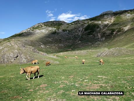 La Farrapona-Los Albos-Lago del Valle-Calabazosa