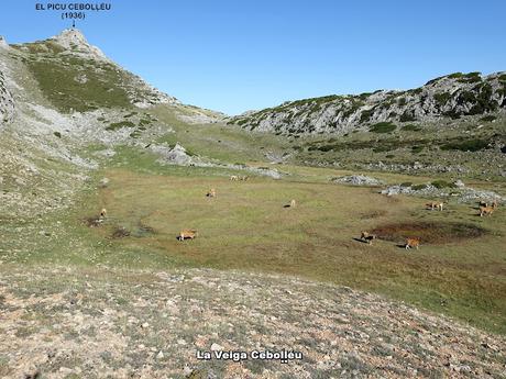 La Farrapona-Los Albos-Lago del Valle-Calabazosa