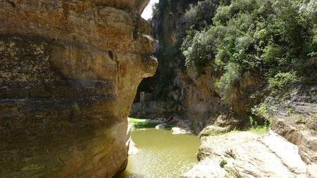 Gorg Negre Gorg Negre