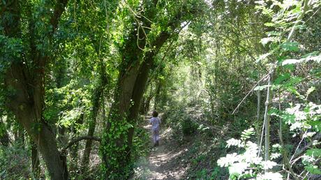 Ruta circular al Gorg negre del río Gaià | Querol (Tarragona) Ruta circular al Gorg negre del río Gaià | Querol (Tarragona)