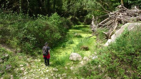 Ruta circular al Gorg negre del río Gaià | Querol (Tarragona) Ruta circular al Gorg negre del río Gaià | Querol (Tarragona)