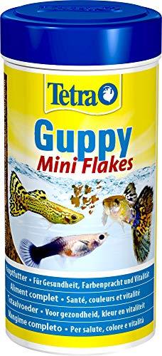 Tetra Guppy Mini Flakes - comida equilibrada y rica en nutrientes para guppys, lata 250 ml