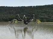 Château Coste Damien Hirst