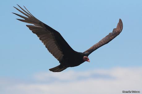 Faro Belén (diciembre 2022)