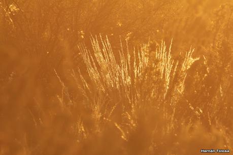 Faro Belén (diciembre 2022)