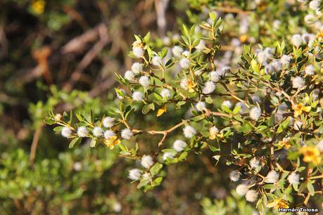 Faro Belén (diciembre 2022)