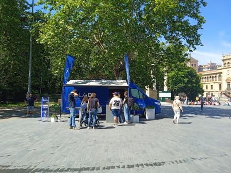 Sevilla, la ciudad más miope de España: ¿Qué podemos hacer? Sevilla, la ciudad más miope de España: ¿Qué podemos hacer?