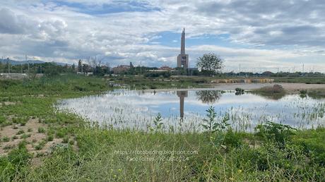 Cinco cigüeñuelas y una utopía en La Catalana Cinco cigüeñuelas y una utopía en La Catalana