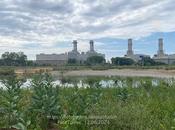 Cinco cigüeñuelas utopía Catalana
