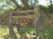 Arquitectura popular comarca Aliste