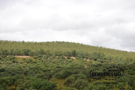 Mérida - Cornalvo - Mirandilla