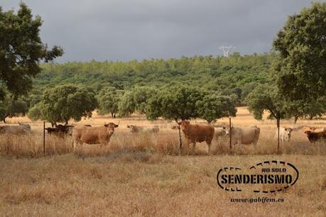 Mérida - Cornalvo - Mirandilla