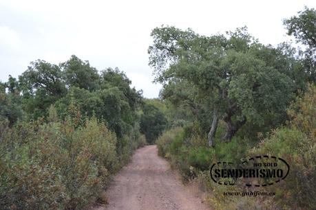 Mérida - Cornalvo - Mirandilla
