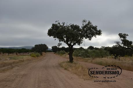 Mérida - Cornalvo - Mirandilla