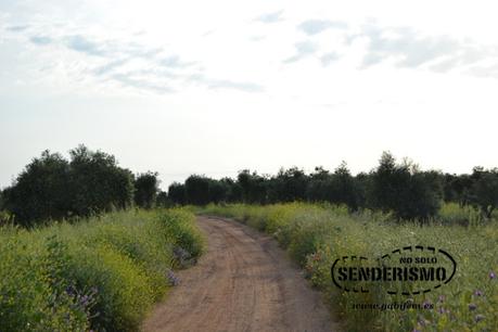 Mérida - Cornalvo - Mirandilla