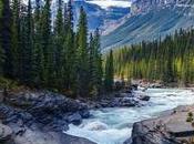 ¿Qué necesito para viajar Canadá desde México?