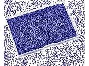 Mejor perle bleue 2024: Elección Especialistas