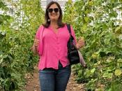 Finca Hualdo, paraíso sostenible provincia Toledo