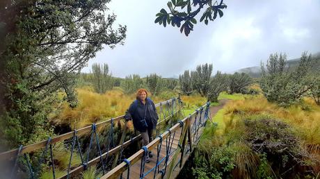 ECUADOR : POR LAS ALTURAS DE QUITO ECUADOR : POR LAS ALTURAS DE QUITO