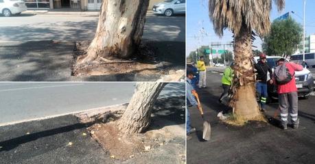 Renovación Integral del Andador Peatonal de Hernán Cortés Mejora la Seguridad y Estética Urbana