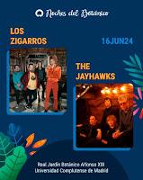 Concierto de The Jayhawks y Los Zigarros en las Noches del Botánico