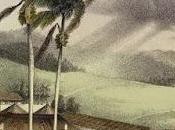 Bibiana Candia. "Azucre"