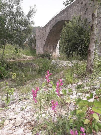 El conocimiento como guía El conocimiento como guía