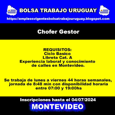 Chofer Gestor