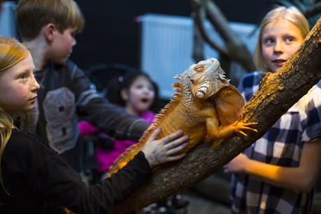 Parque de animales de Kungsbyn