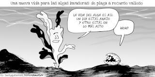 Las viñetas de hoy Las viñetas de hoy