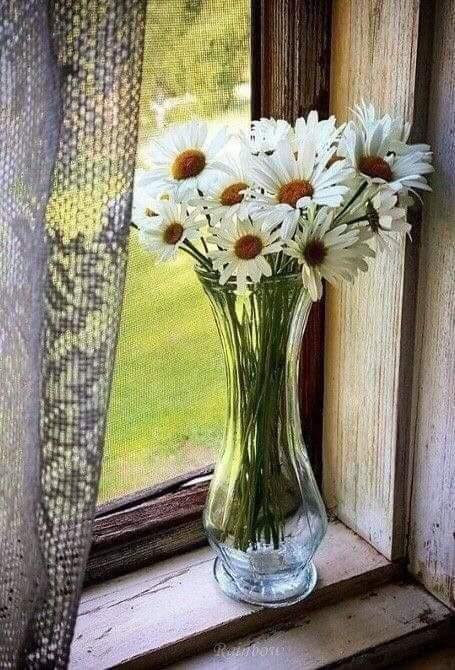 ~🌷 - Se acaba la Primavera