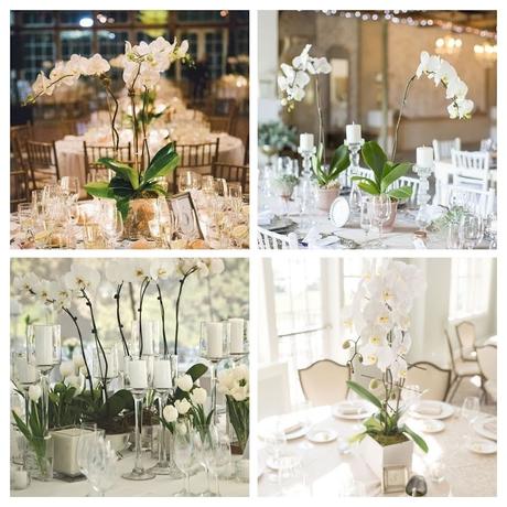 Las Mejores Ideas para Decorar con Orquídeas 5