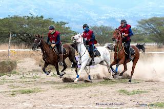 SE VIENE LA COPA ALBAUGH , VÁLIDA PARA EL RANKING INTERNACIONAL DE ENDURANCE
