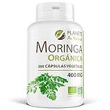 Moringa Oleifera Orgánica - 400 mg - 200 cápsulas vegetales
