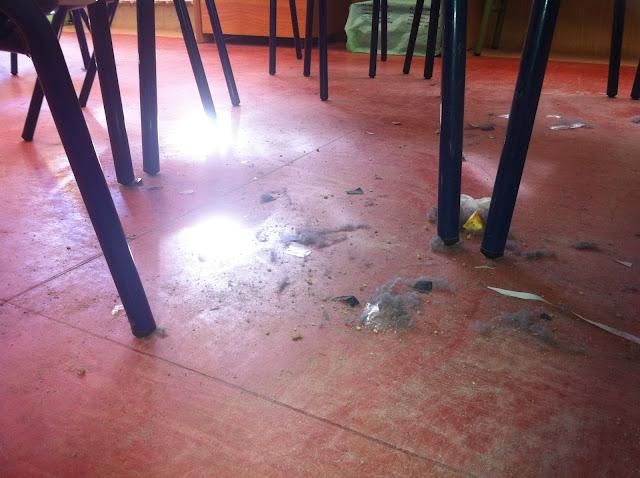 Huelga por impago a  los servicios de limpieza en los colegios públicos de #Alcorcón