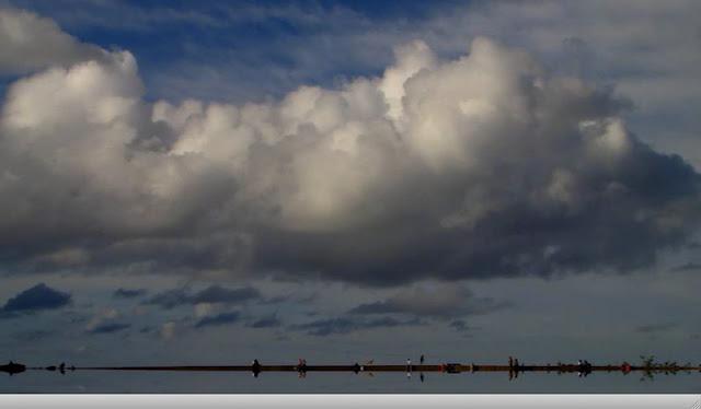 Plato del Día es Arte a la carta en la Galeria Lina Valero: Jesús Olmo, video.