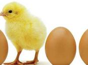 Dios, huevo gallina