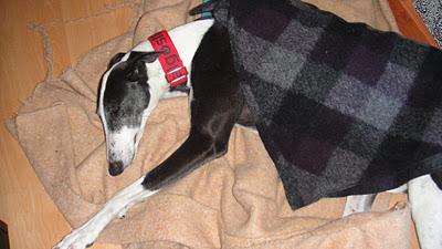 Noelle rescatada, su pesadilla terminó