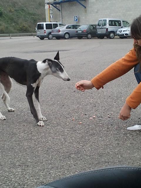 Noelle rescatada, su pesadilla terminó