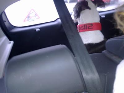 Noelle rescatada, su pesadilla terminó