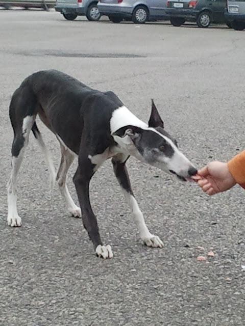 Noelle rescatada, su pesadilla terminó