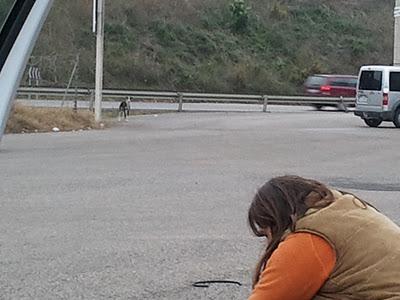 Noelle rescatada, su pesadilla terminó